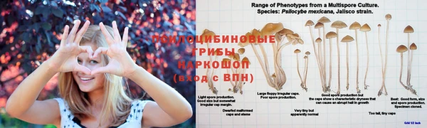 MDMA Premium VHQ Костерёво