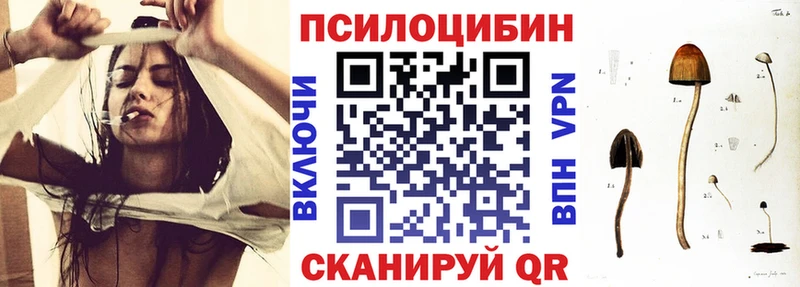 Псилоцибиновые грибы Cubensis  ссылка на мегу рабочий сайт  Медвежьегорск 